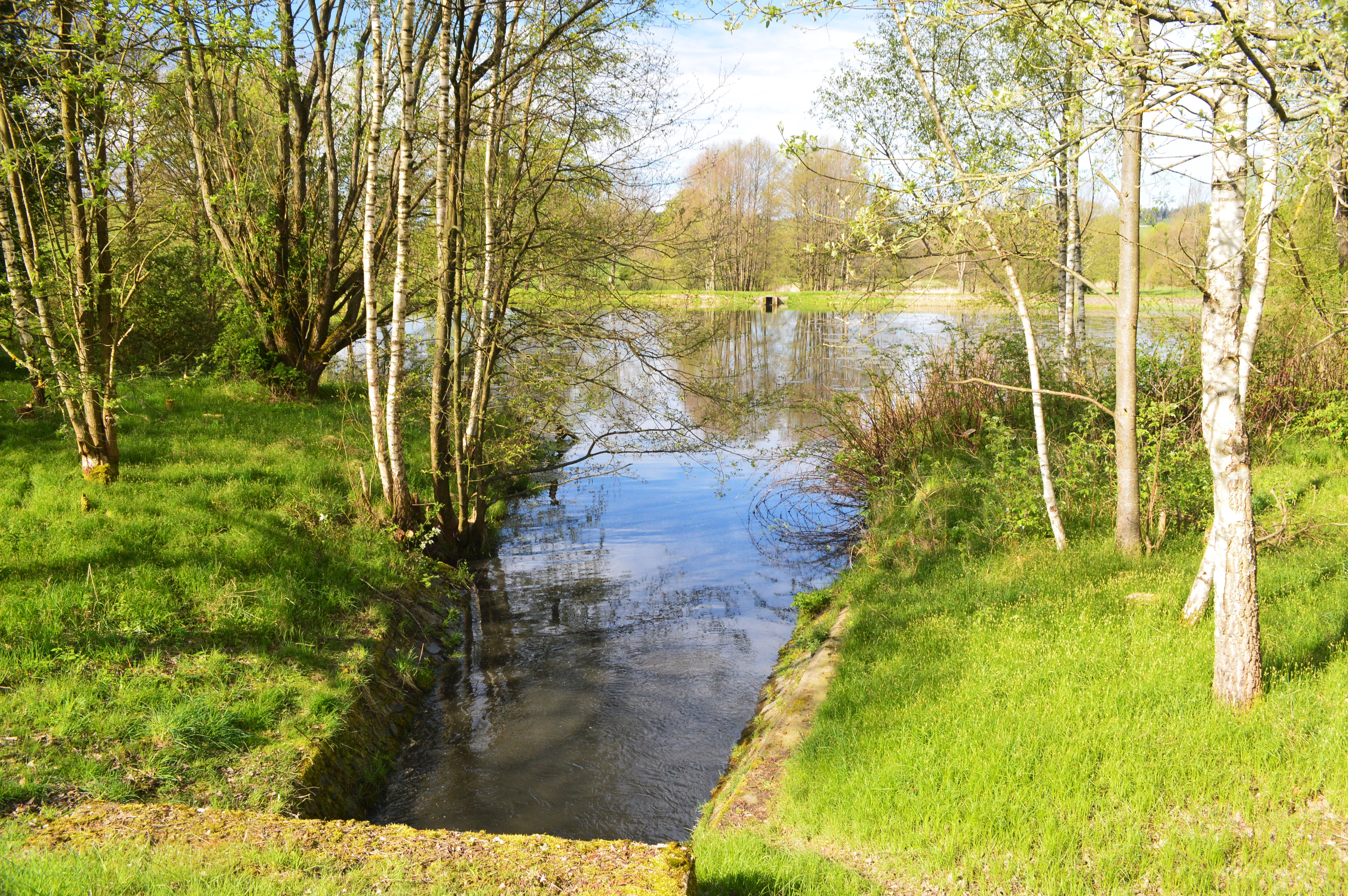 Chovný rybník