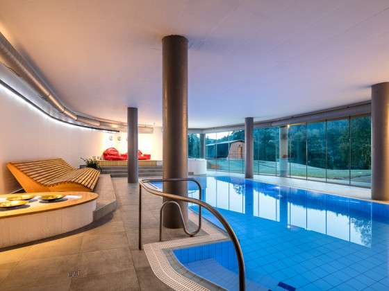 Wellness Hotel Ostrov - Pool