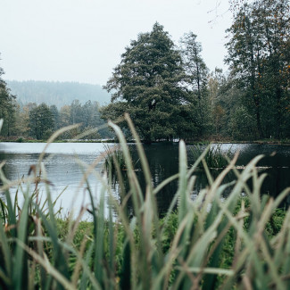 Ostrov (autor: Michal Guzi)