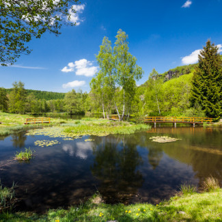 Rybník u Hotelu Ostrov