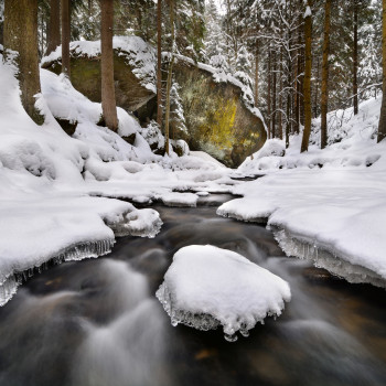 Zima v Kyjovském údolí (foto: Pavel Klásek)