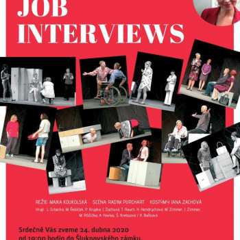 Zámek Šluknov - Job Interviews