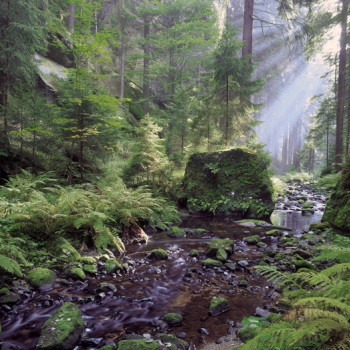 Kyjovské údolí, foto Václav Sojka