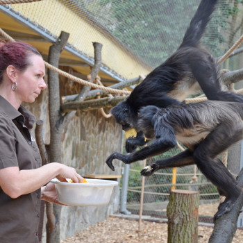 ZOO DĚČÍN