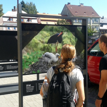 Výstava fotografií Václaa Sojky - 20 let NP ČŠ 