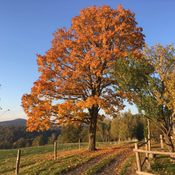 Jiří Rak - Kraj pod Vlčí horou