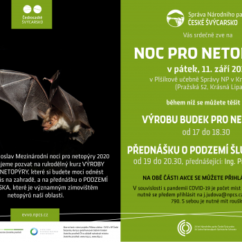 Noc pro netopýry 2020